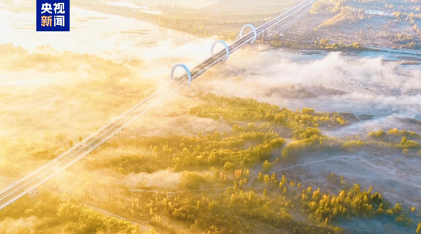 伊犁河薄霧彌漫 宛如一幅寧靜的深秋畫卷